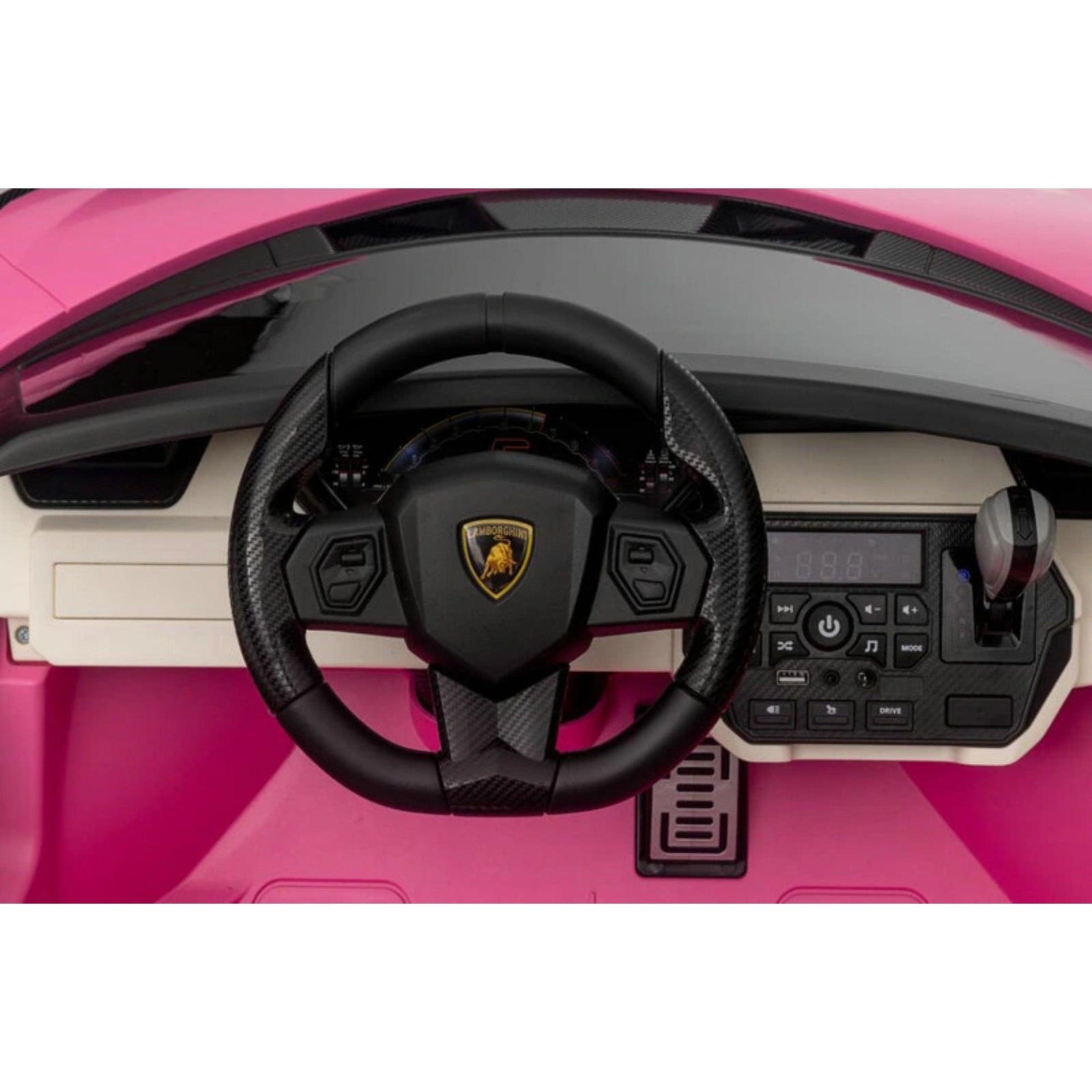 24V Luxurious Pink Lamborghini Sian 2-Seater 4x4 Ride-On Car W/ EVA Rubber Wheels, BT & RC.