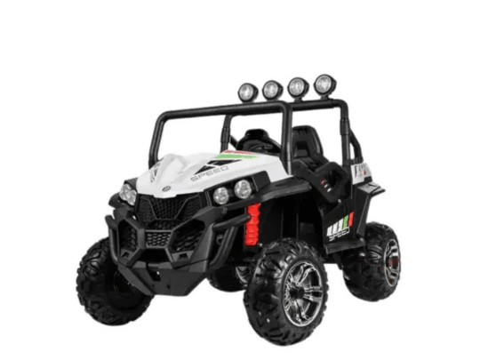 24V Viper Buggy Spare Parts