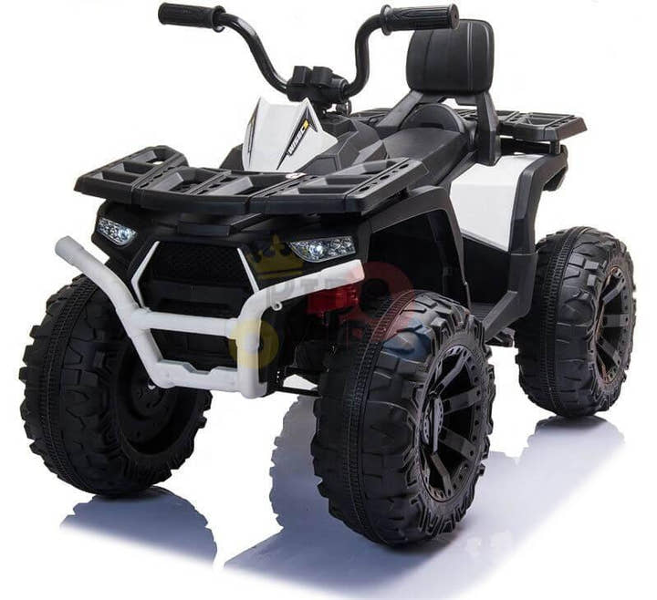 24V 2WD/4WD Titan ATV - Key Switch.