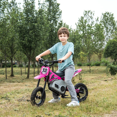 Electric 36V Advanced Dirt Bike for Teens