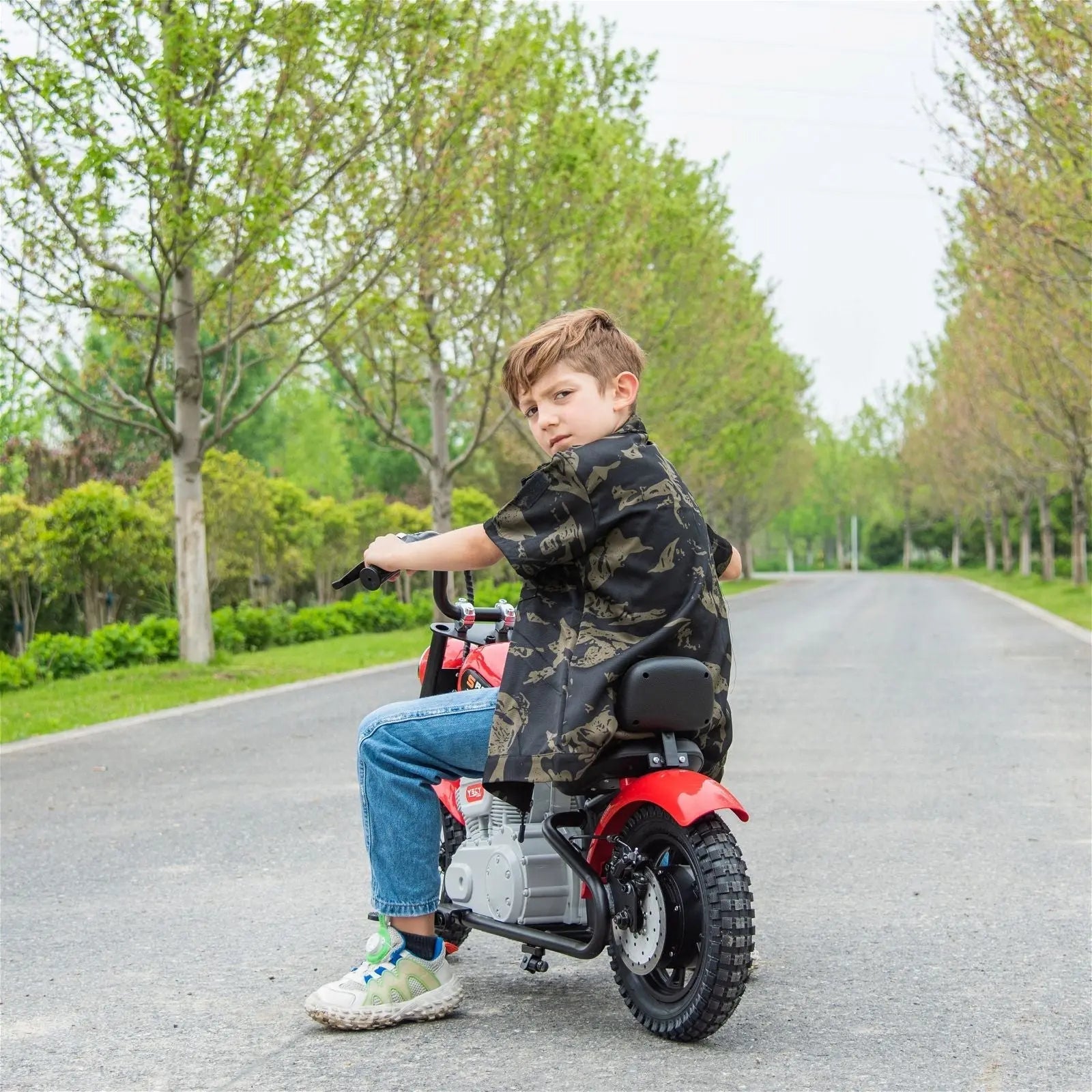 E-Chopper 36V Motorbike for Teens