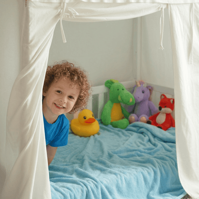 ARY House Bed Canopy.