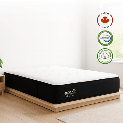 ARY Organic+ Mattress Combo.