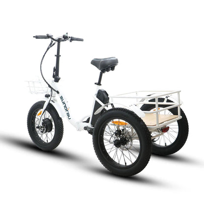 NEW-TRIKE 1.0.
