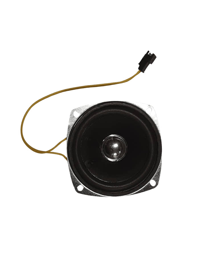 24 Can-Am Maverick - Speaker.