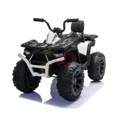 24V 2WD/4WD Titan ATV - Key Switch.