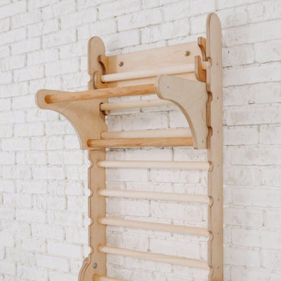 Gym Addition to the Climbing Ladders.