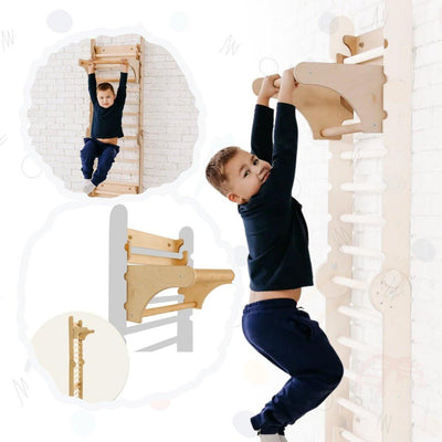 Gym Addition to the Climbing Ladders.