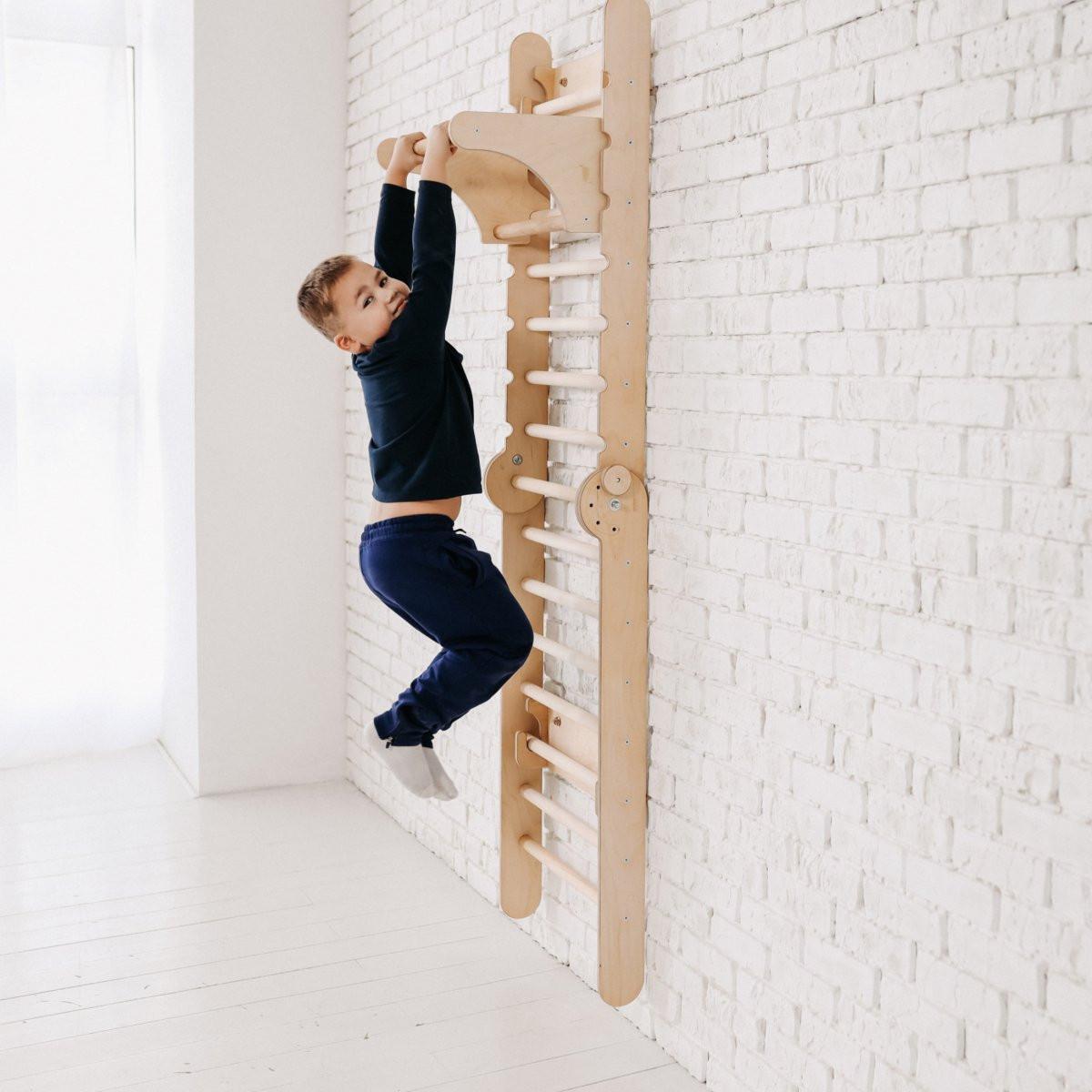 Gym Addition to the Climbing Ladders.
