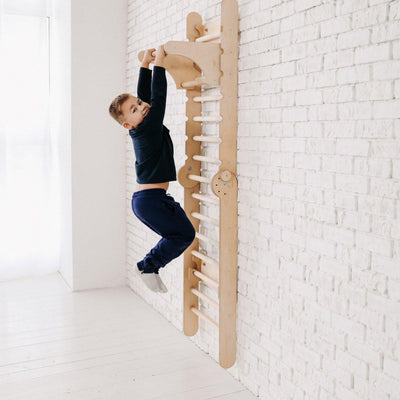 Gym Addition to the Climbing Ladders.