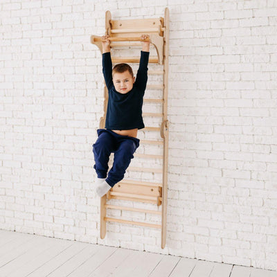 Gym Addition to the Climbing Ladders.
