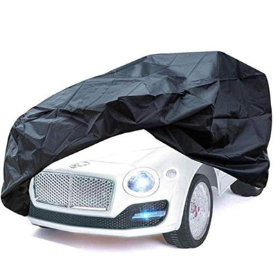 Cover for 1 Seater Car.