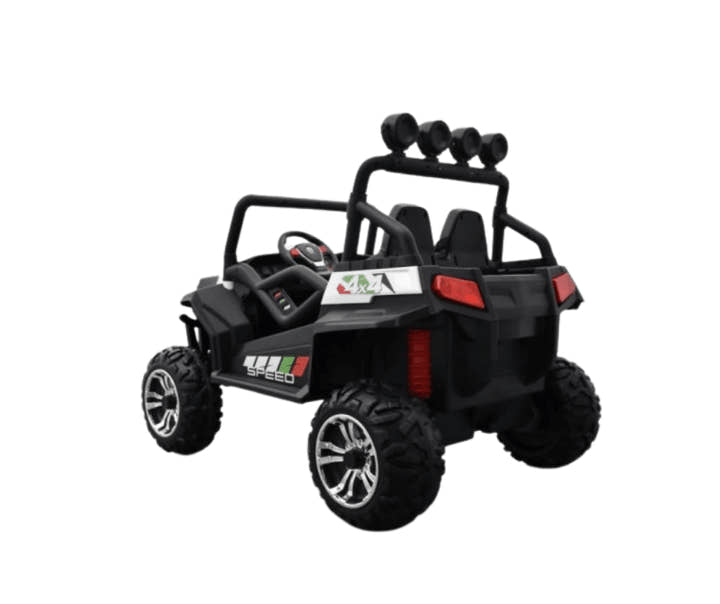 24V Viper Buggy/UTV - Receiver.