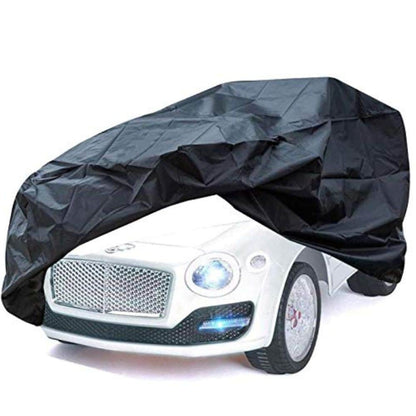 Cover for 1 Seater Car