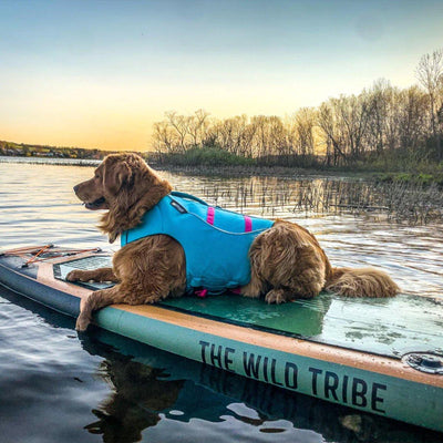 Sequoia 11' - Inflatable Paddleboard.