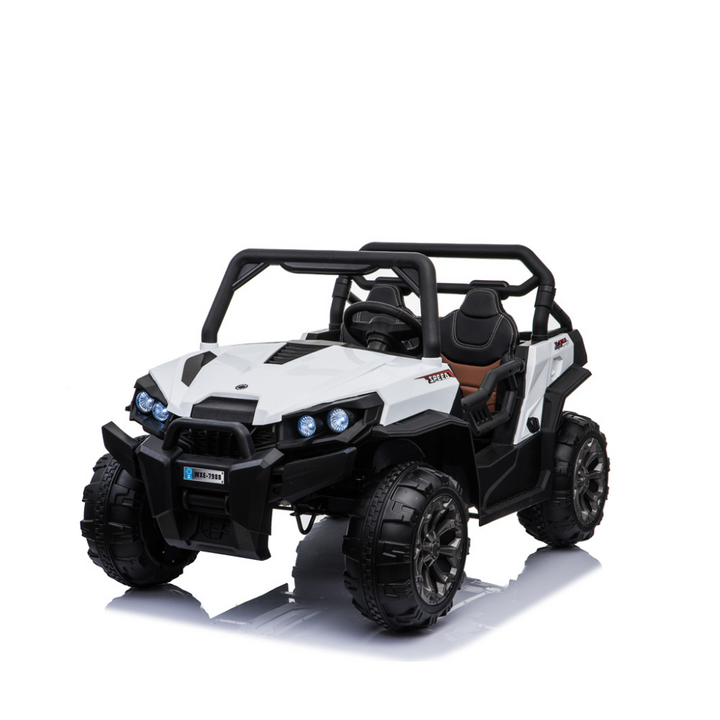 Storm Buggy