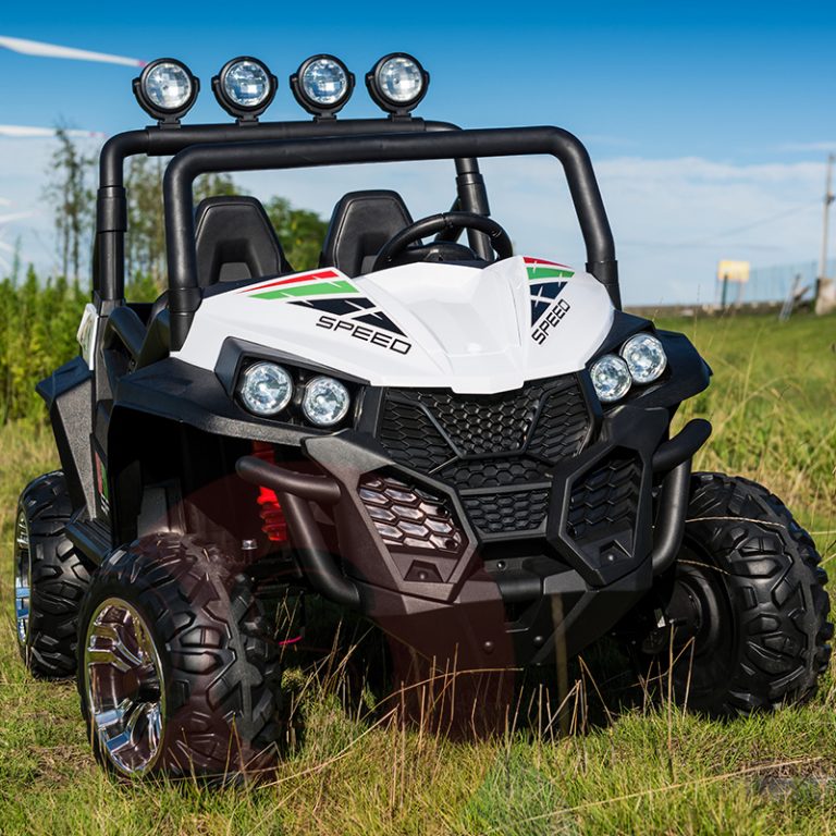dune buggy 2 seater